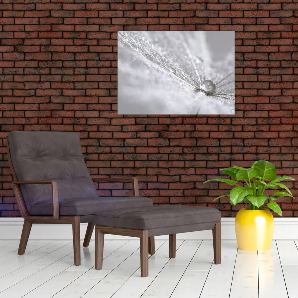 Obraz - Kropla wody (70x50 cm)