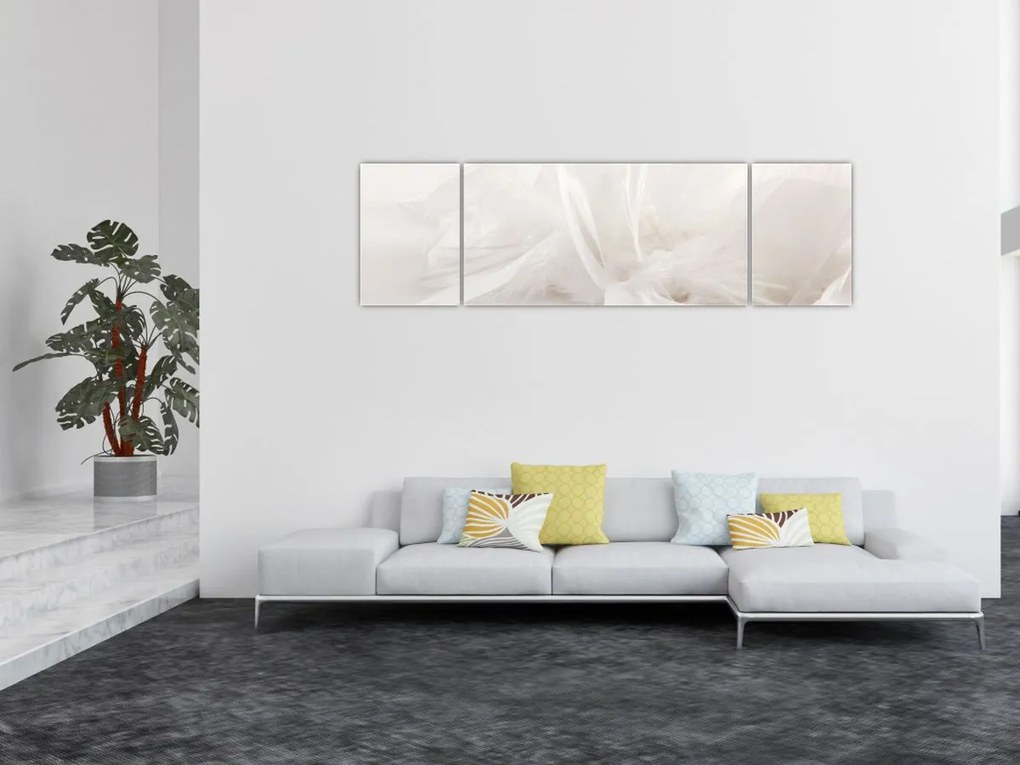Obraz - Pióro (170x50 cm)