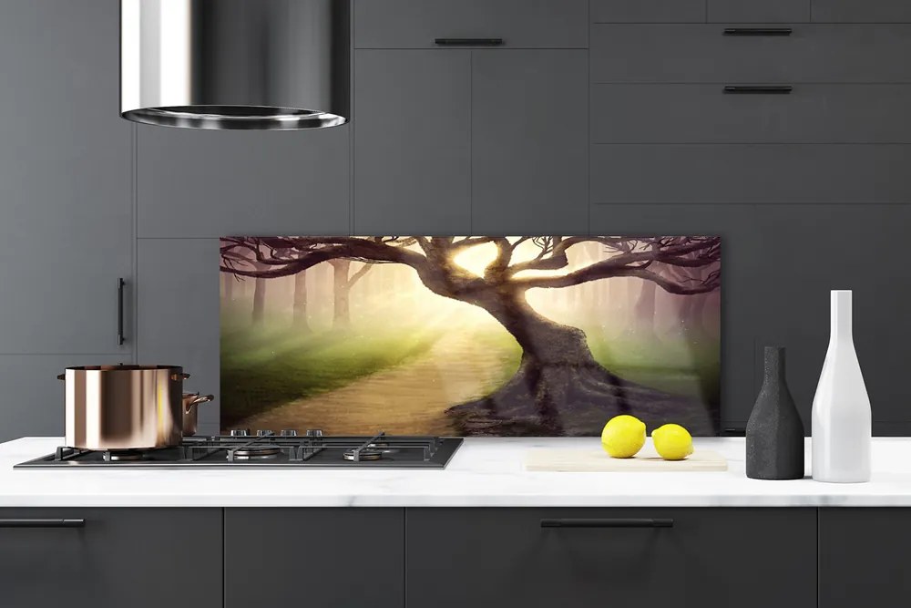 Panel Szklany Promienie Słońca w Koronie Drzewa