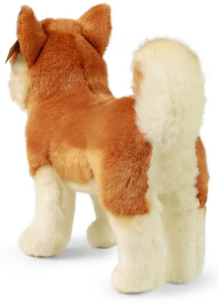 Rappa Pluszowy pies Akita Inu 30 cm