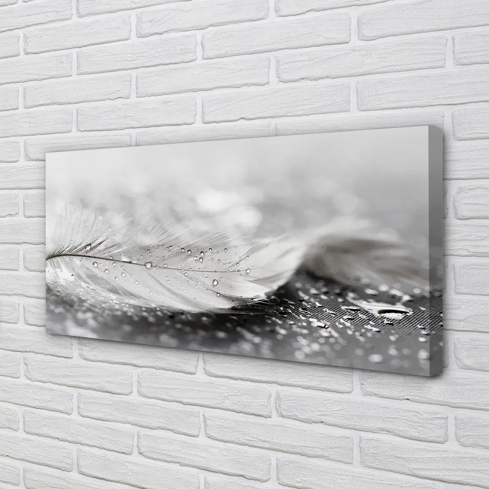 Obraz canvas na ścianę Delikatne Krople na Piórku
