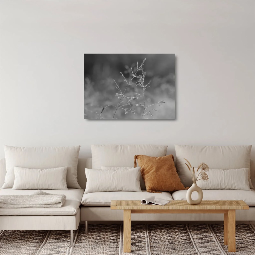 Obraz na szkle - Wiejska łąka (70x50 cm)