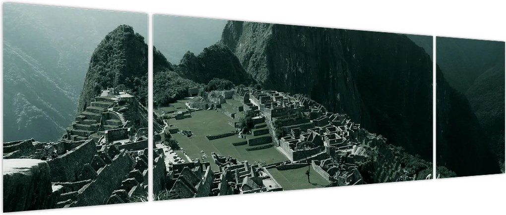 Obraz - Lamy w Machu Picchu w Peru (170x50 cm)