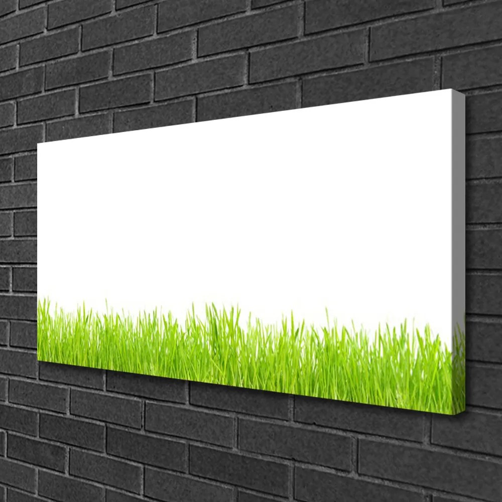 Obraz drukowany na płótnie Soczysty Naturalny Trawnik