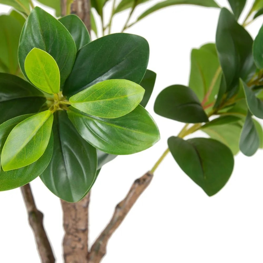 Sztuczna roślina (wysokość 145 cm) Peperomia – Ixia