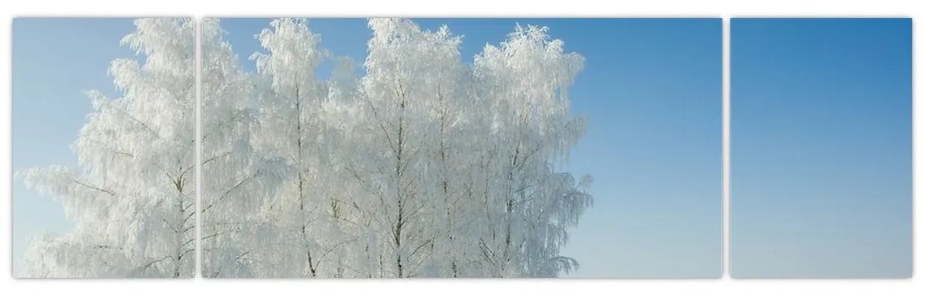 Obraz zaśnieżonego krajobrazu (170x50 cm)