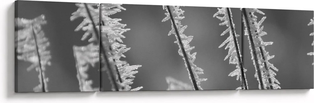 Obraz - Mroźne zimno (170x50 cm)