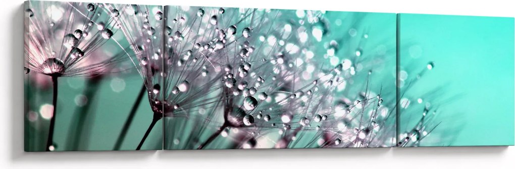 Obraz - zroszona roślina (170x50 cm)