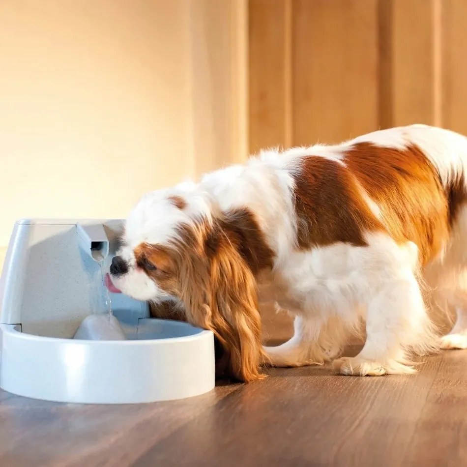 PetSafe® Original Fontanna 1,5 l