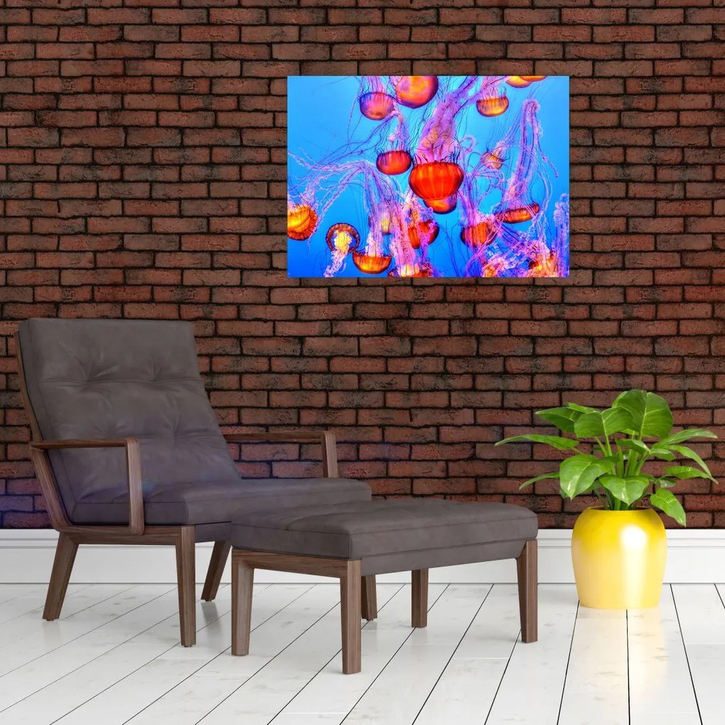 Obraz meduz w morzu (70x50 cm)
