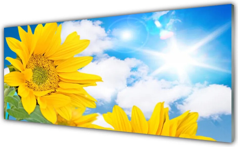 Szkło nad Blatem Kwiatowy Ornament Ścienny