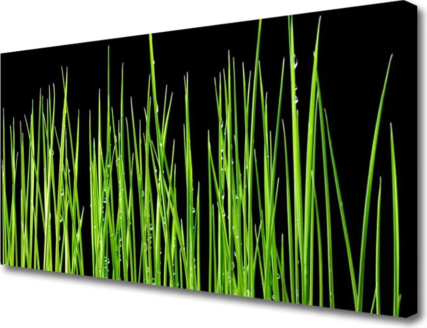 Fotoobraz na płótnie Naturalna Tekstura Trawy