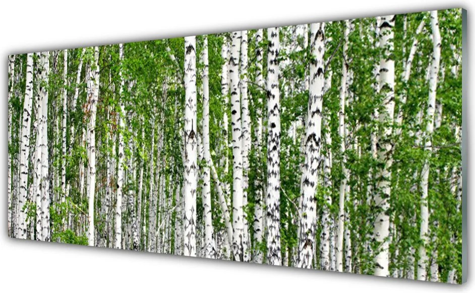 Panel Szklany do Kuchni Świetlisty Las Brzozowy