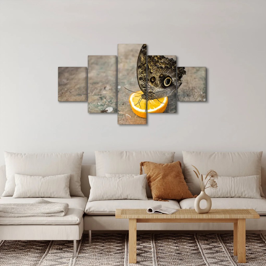 Obraz motyla (125x70 cm)