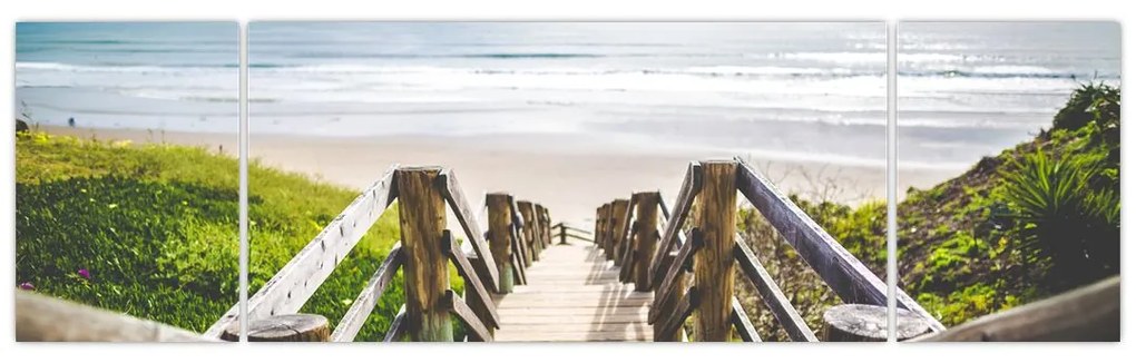 Obraz - Wejście na plażę (170x50 cm)
