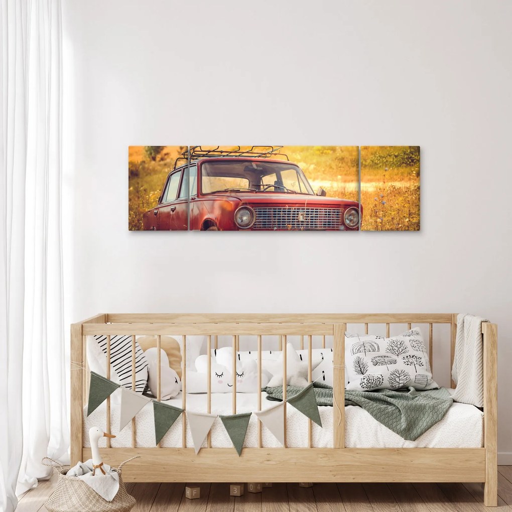 Obraz samochodu na polu (170x50 cm)