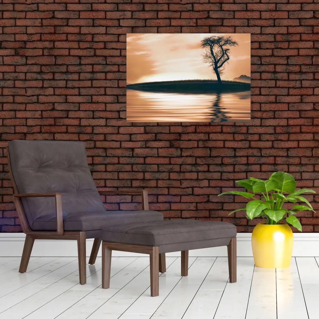 Obraz drzewa na wyspie (70x50 cm)