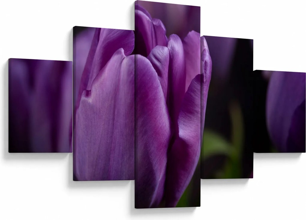 Obraz kwiatów tulipanów (125x70 cm)