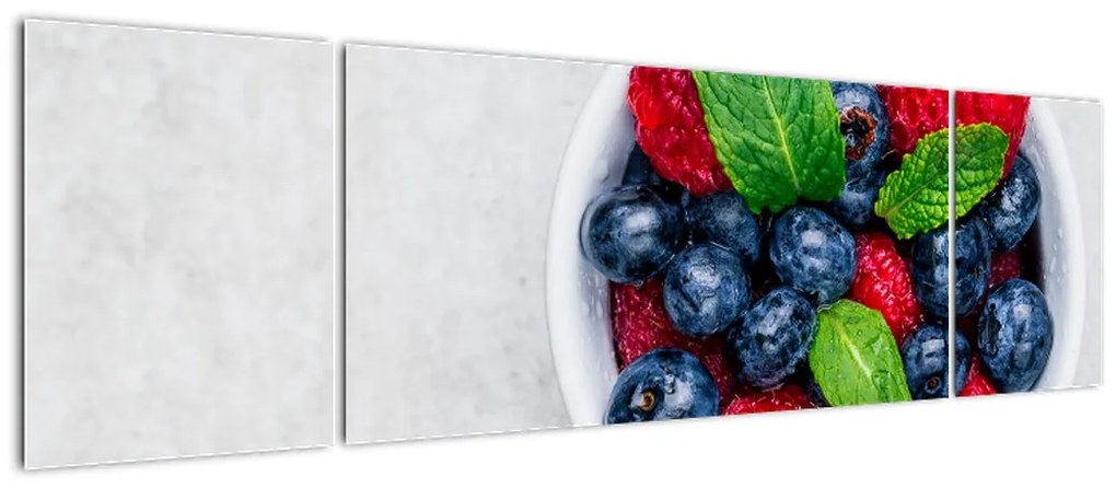 Obraz- miska z leśnymi owocami (170x50 cm)