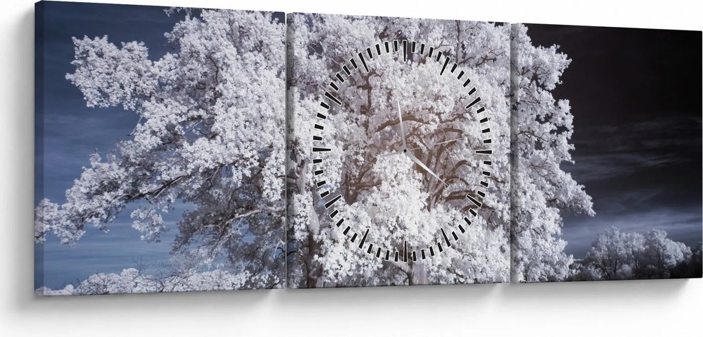 Obraz - Śnieżnobiałe drzewo (z zegarem) (90x30 cm)