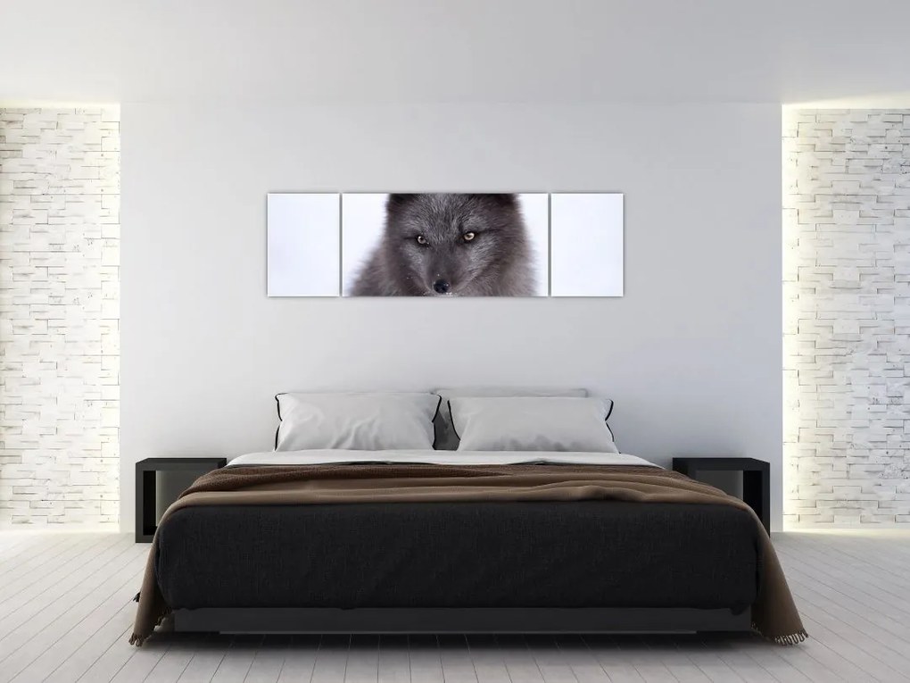 Obraz lisa śnieżnego (170x50 cm)