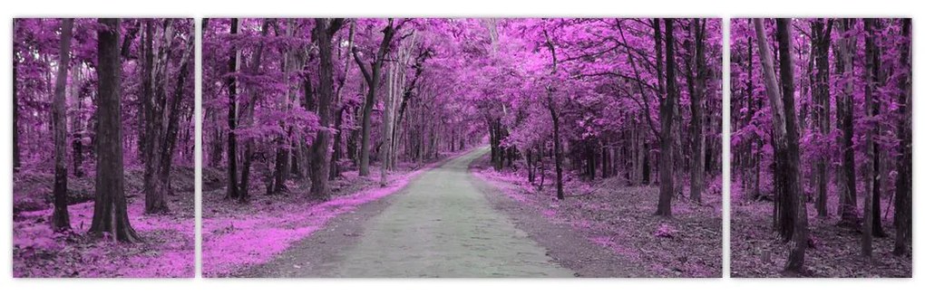 Obraz - Ścieżka przez park (170x50 cm)