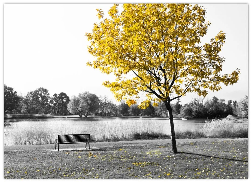 Obraz - Odpoczynek w parku (70x50 cm)