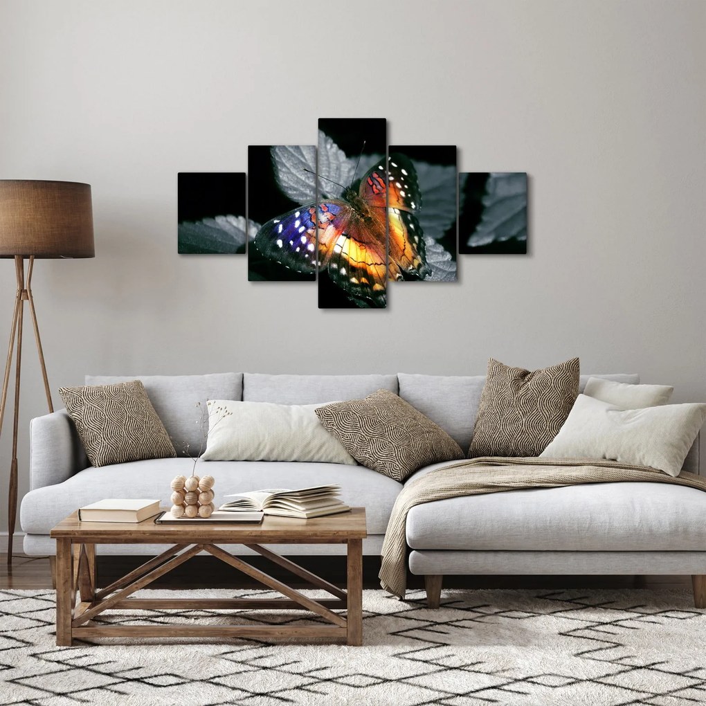 Obraz motyla (125x70 cm)