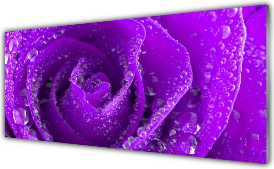 Panel Kuchenny Aksamitna Róża W Rozkwicie