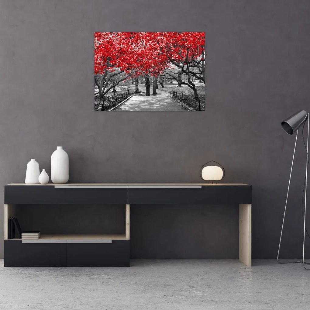 Obraz - Czerwone drzewa, Central Park, New York (70x50 cm)