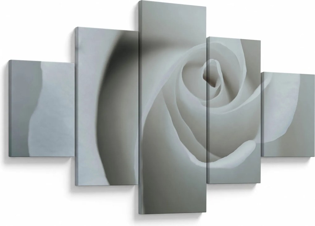 Obraz - Biała róża (125x70 cm)