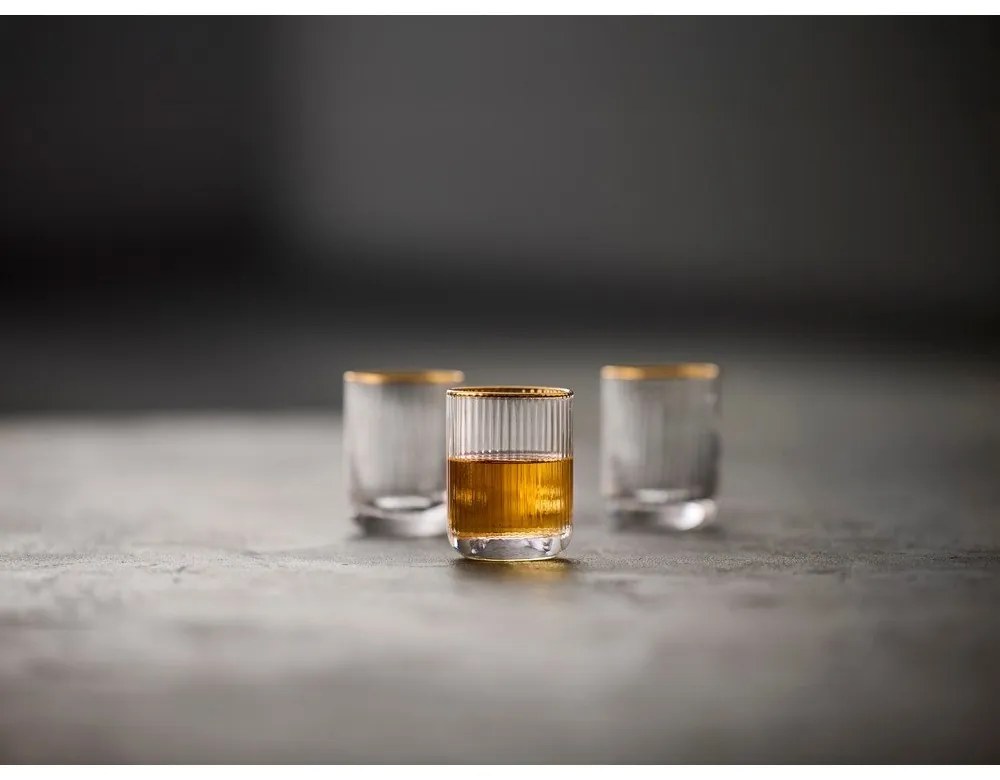 Kieliszki do wódki zestaw 4 szt. 60 ml Palermo – Lyngby Glas