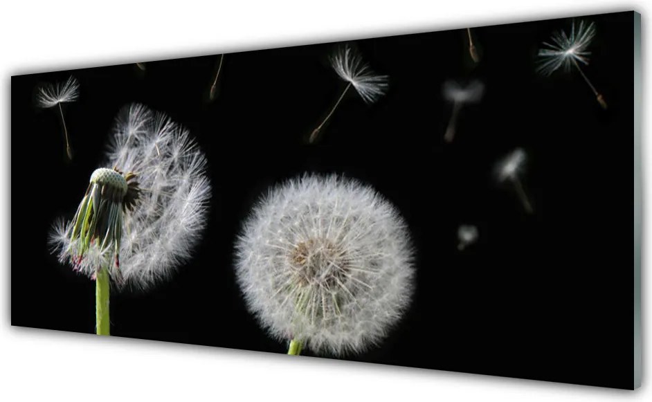 Szkło do Kuchni na Ścianę Złocisty Mniszek W Polu