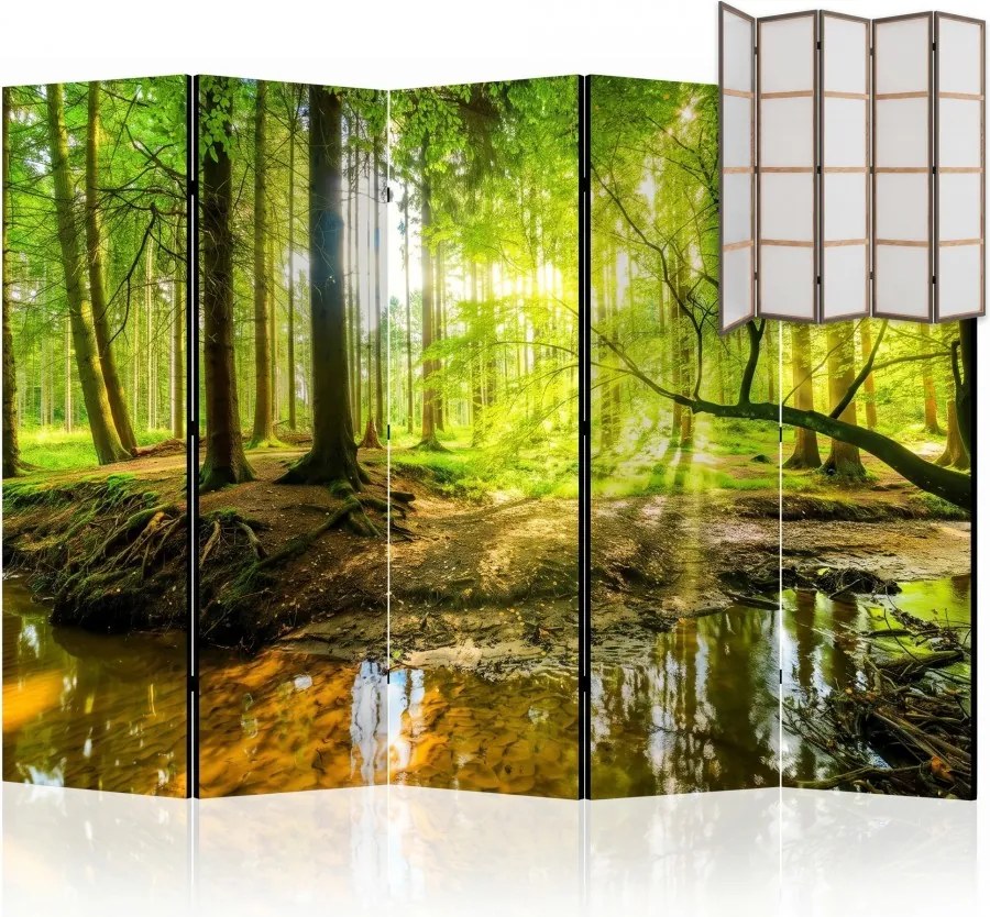 Parawan pokojowy 5-częściowy 225x172 Jednostronny dekoracyjny naturalistyczny Wielokolorowy Słońce W Zielonym Lesie