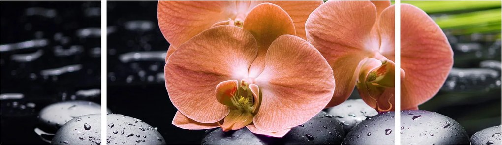 Obraz - Pomarańczowa orchidea z liśćmi palmy (170x50 cm)