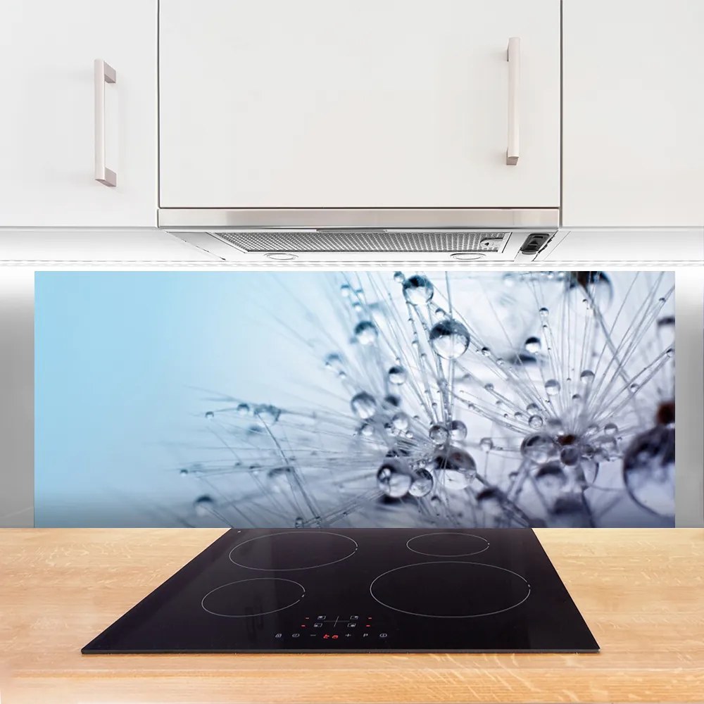 Panel Szklany do Kuchni Puszysta Kula Mniszka