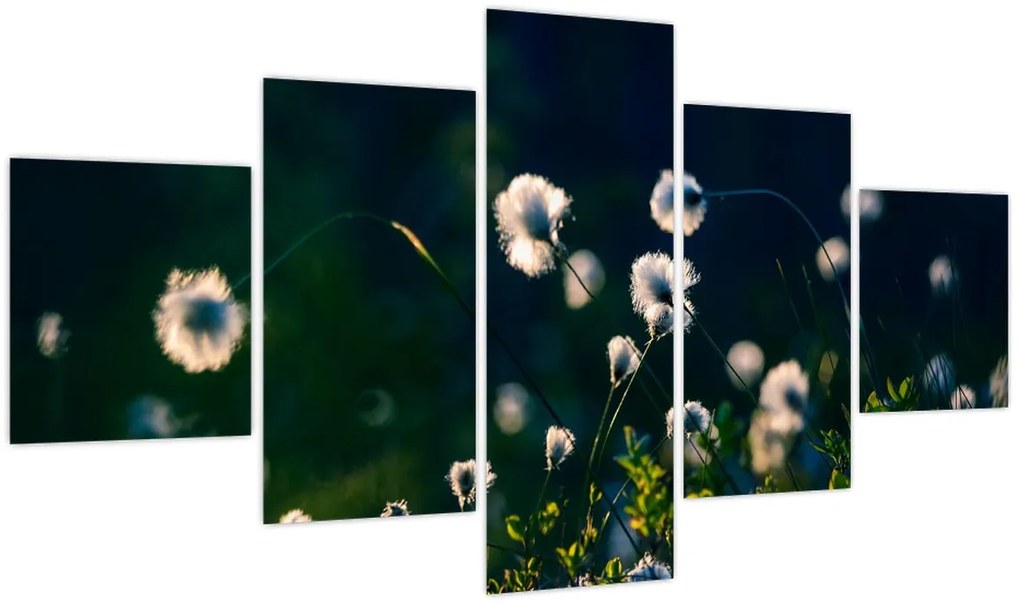 Obraz - Trawa (125x70 cm)