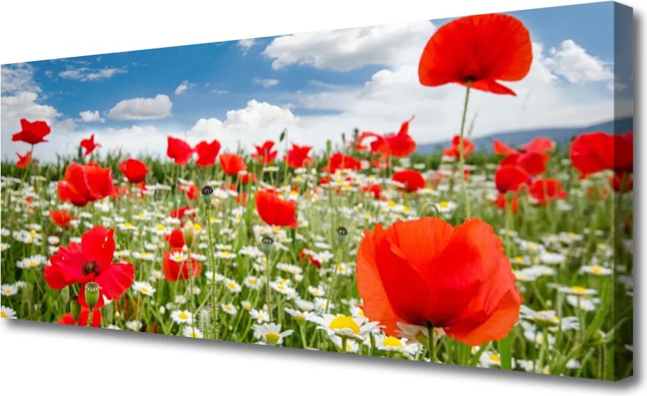 Duży obraz na płótnie Kwiatowa Polana Marzeń