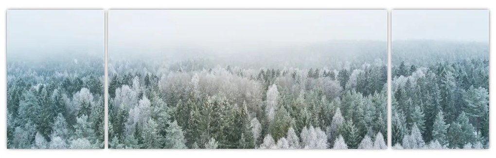 Obraz - Ośnieżone szczyty lasów (170x50 cm)