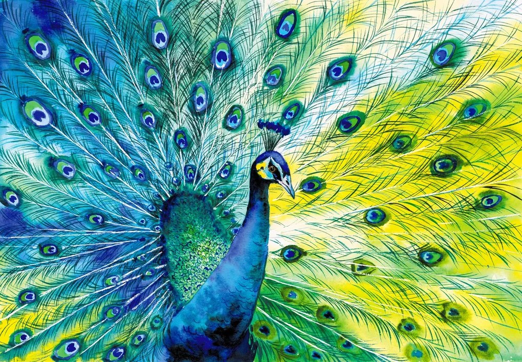 Fototapeta - Paw (196x136 cm)