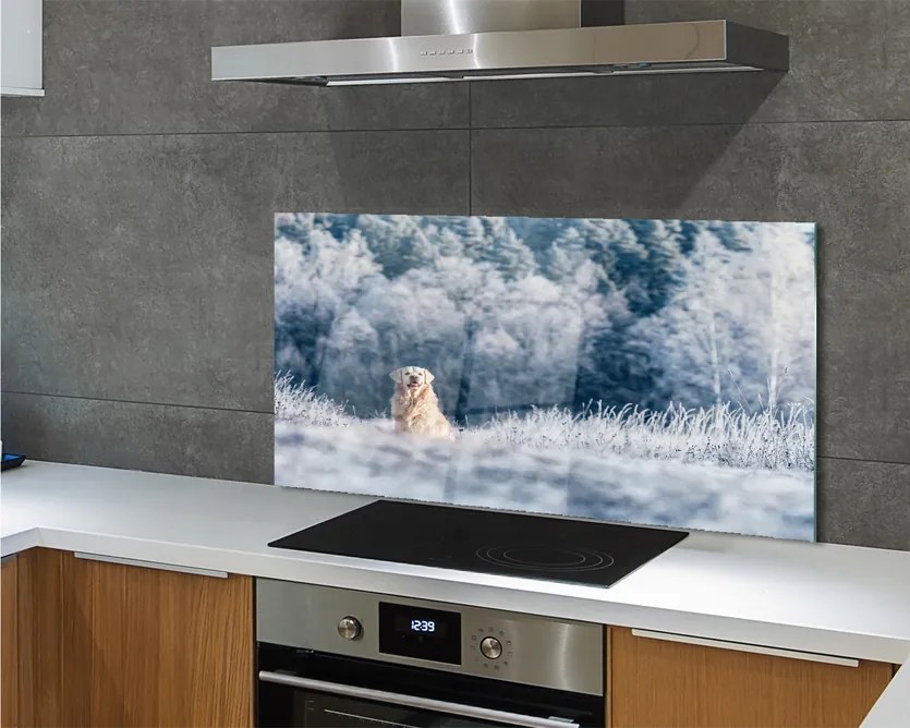 Szklany Panel Pies w Zimowych Górach