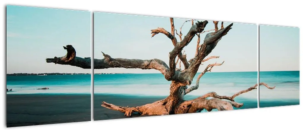 Obraz -  Wyłowiono na plaży (170x50 cm)