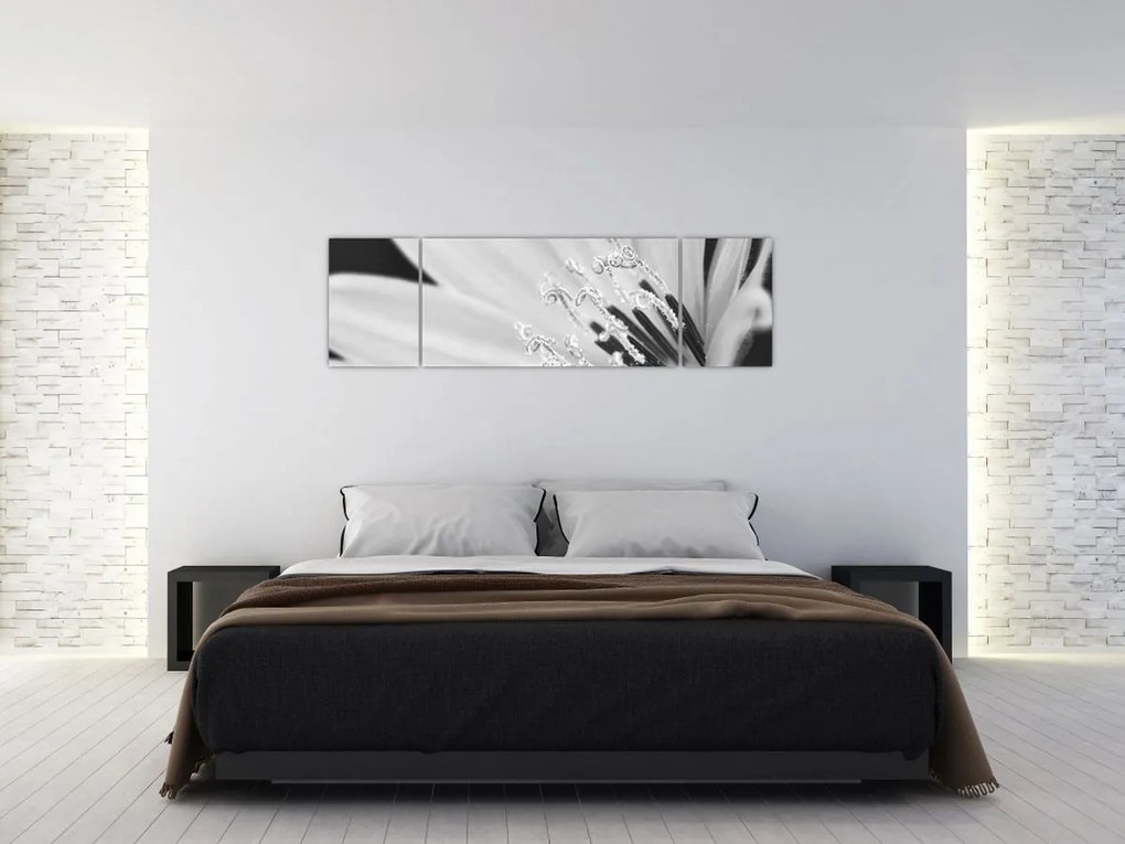 Obraz - Czarno-biały kwiat (170x50 cm)