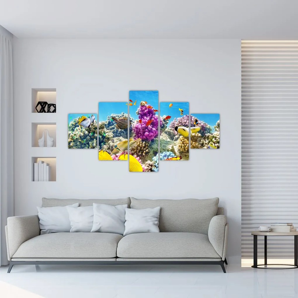 Obraz - Morski świat (125x70 cm)