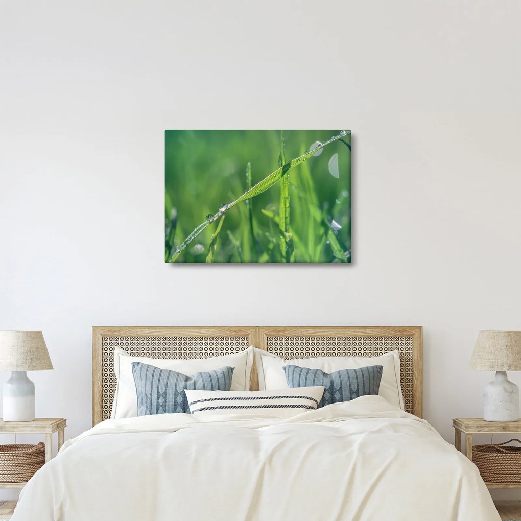 Obraz kropli rosy (70x50 cm)