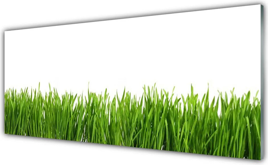 Panel Kuchenny Soczysta Zielona Trawa