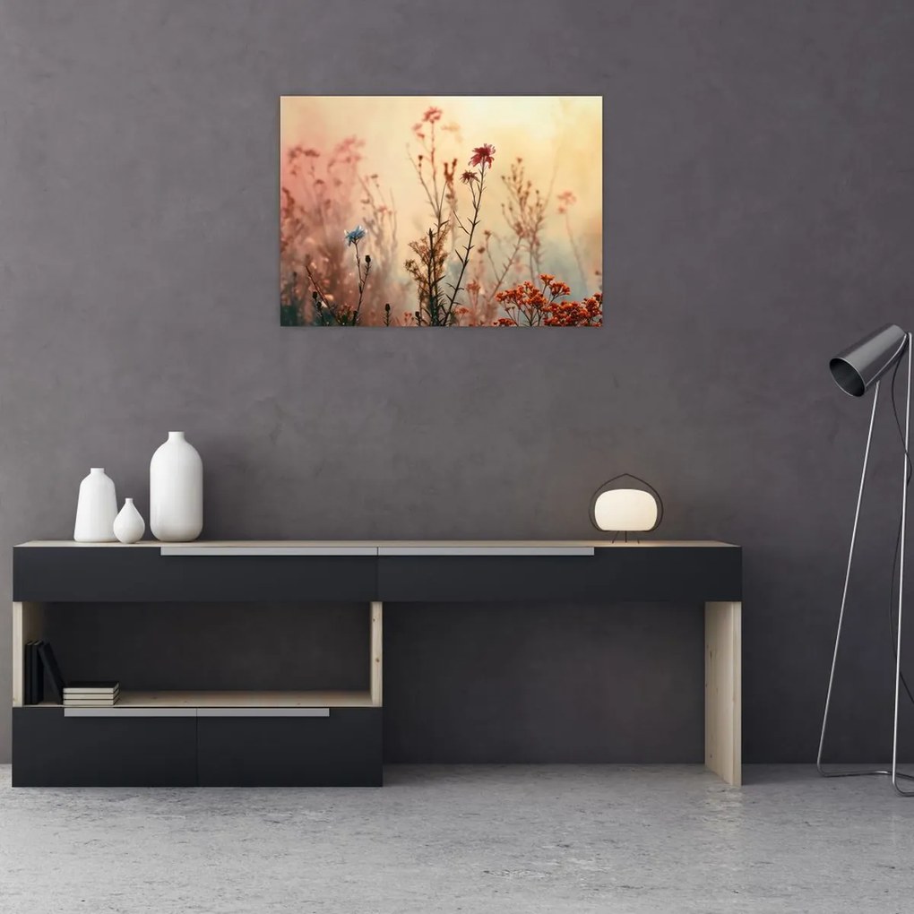 Obraz - Dzikie kwiaty (70x50 cm)