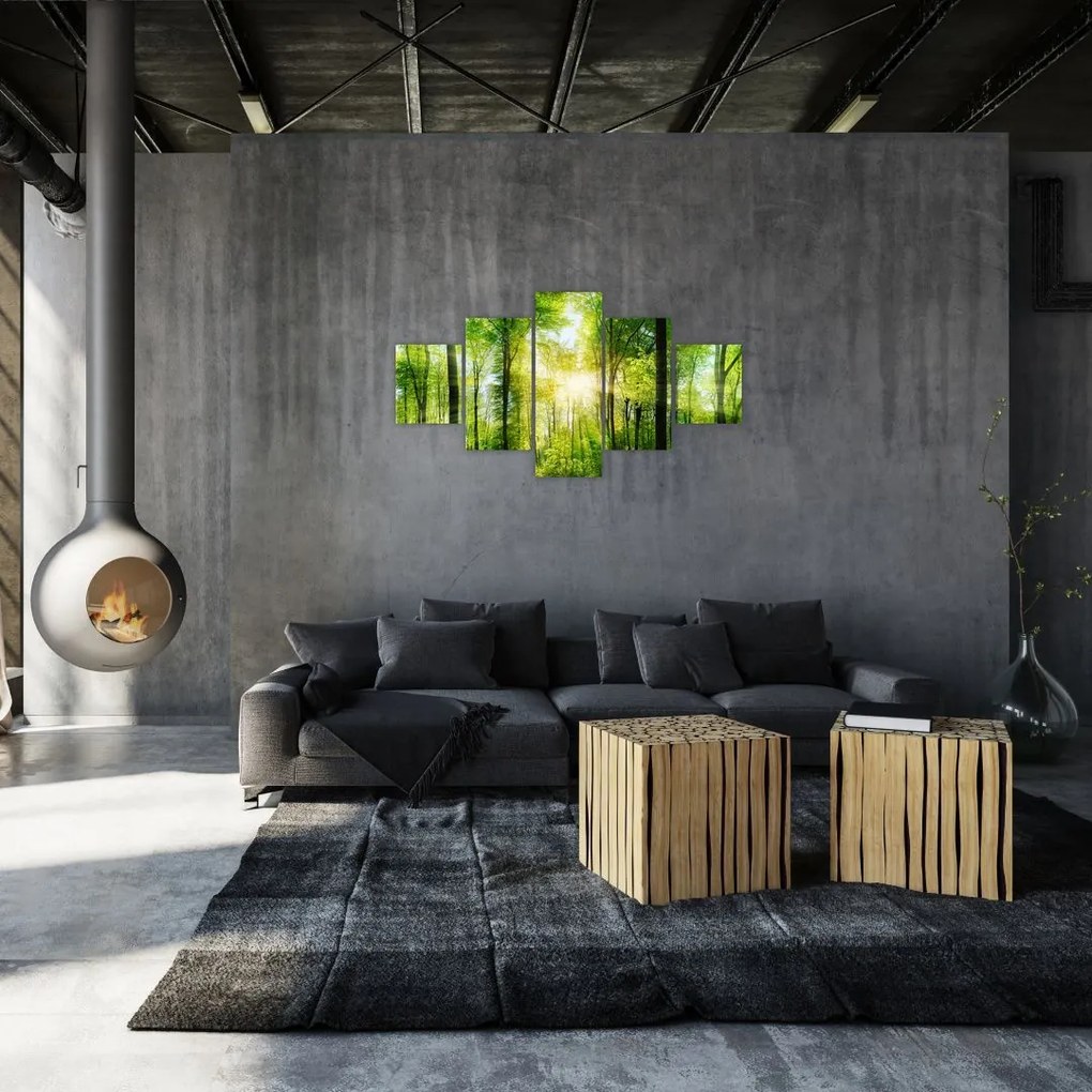 Obraz - Świt w lesie (125x70 cm)