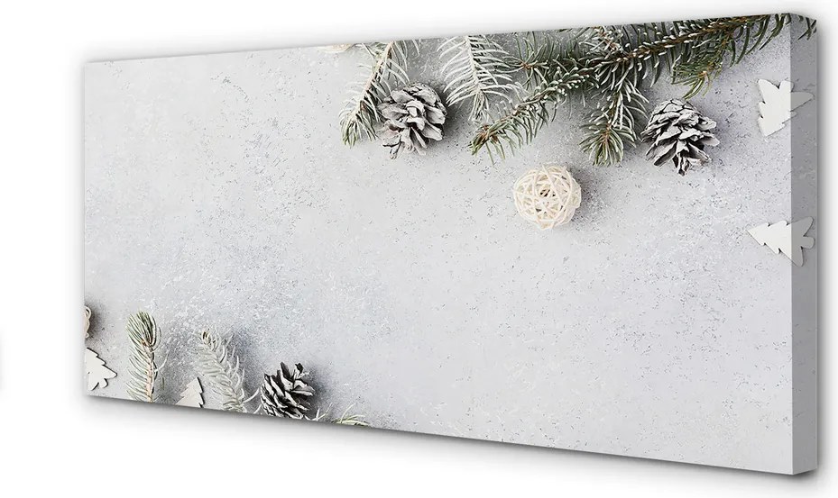 Obraz na płótnie Gałązki i Szyszki