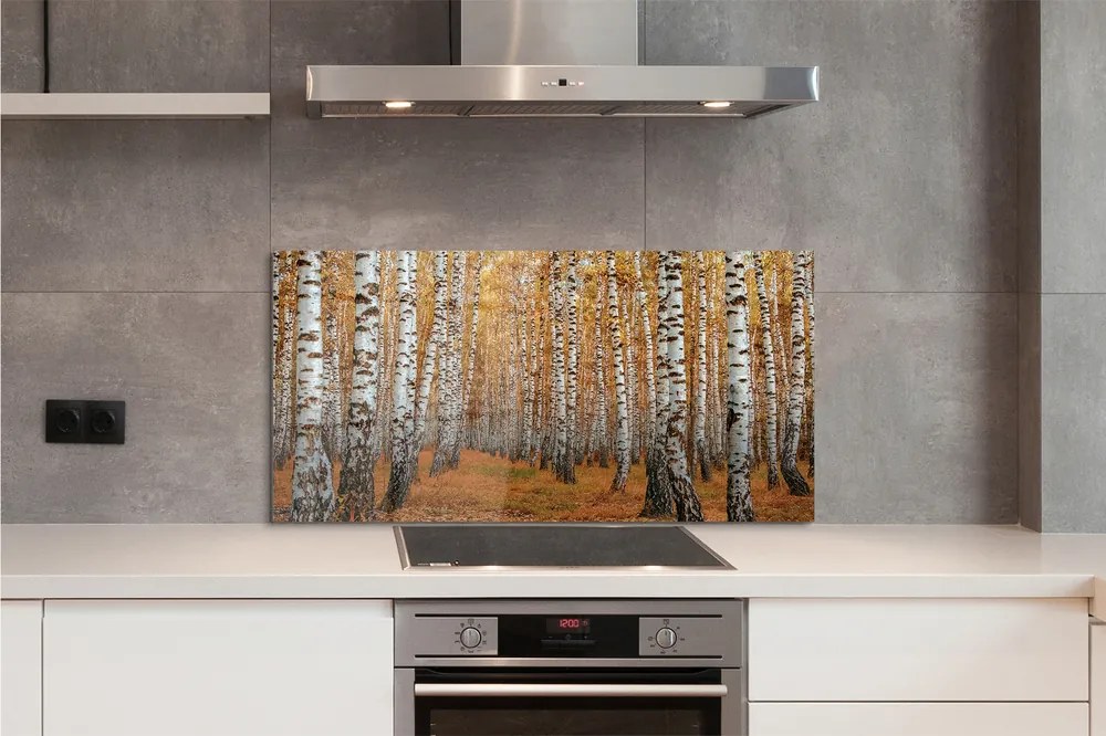 Panel szklany do Kuchni Jesienne Drzewa w Złocie